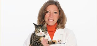 Team member Dr Teresa Streeper holding a cat